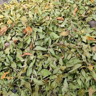 Gorinta Churna {గోరింట చుర్ణము}