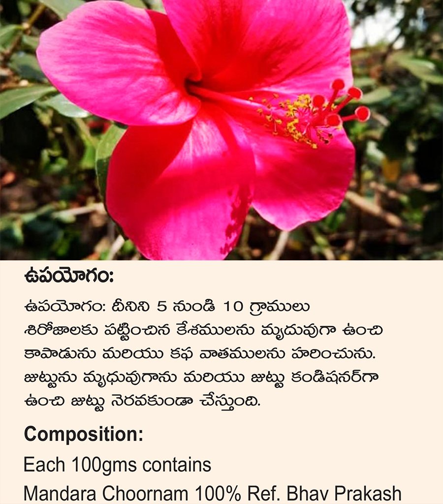 Mandhara Churna {మందార చూర్ణము} - Image 3