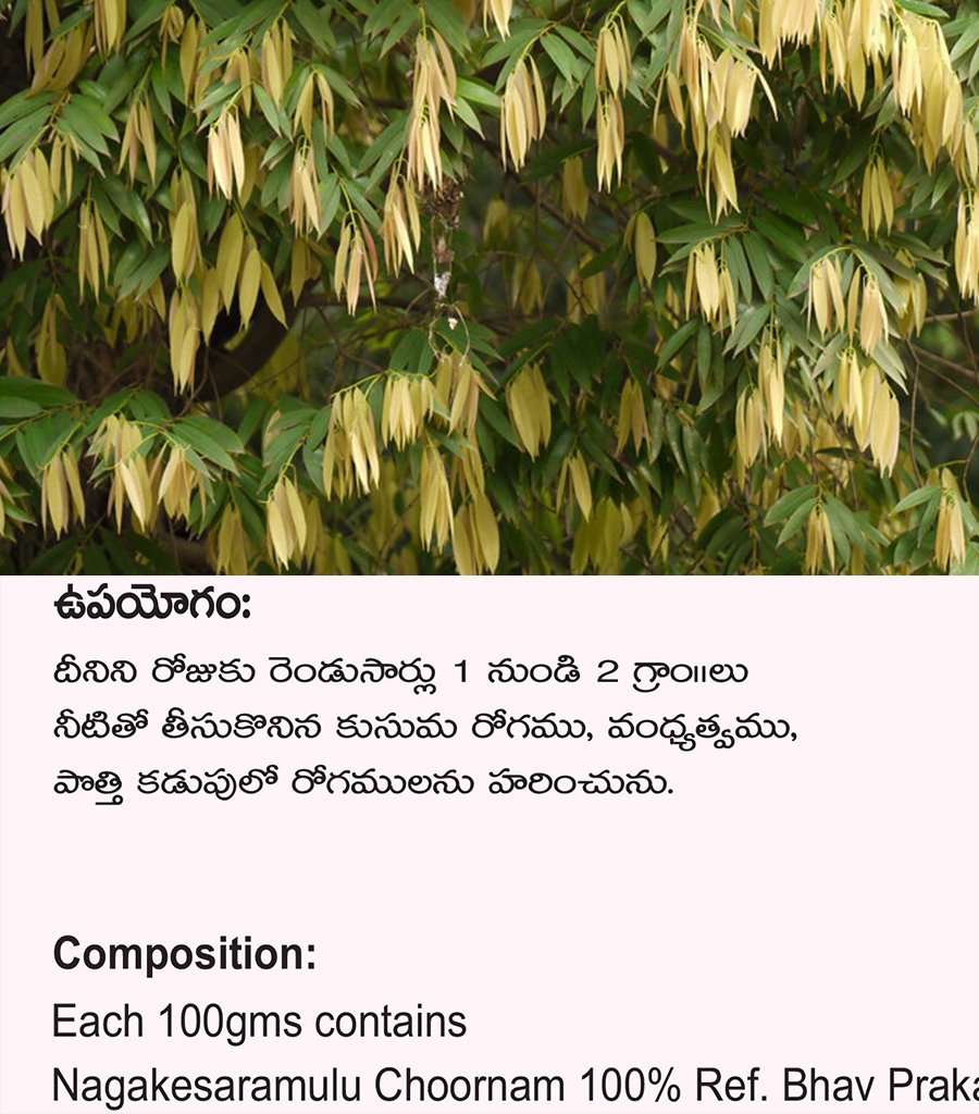 Nagakesaramulu Churna {నాగకేశర చూర్ణము} - Image 3