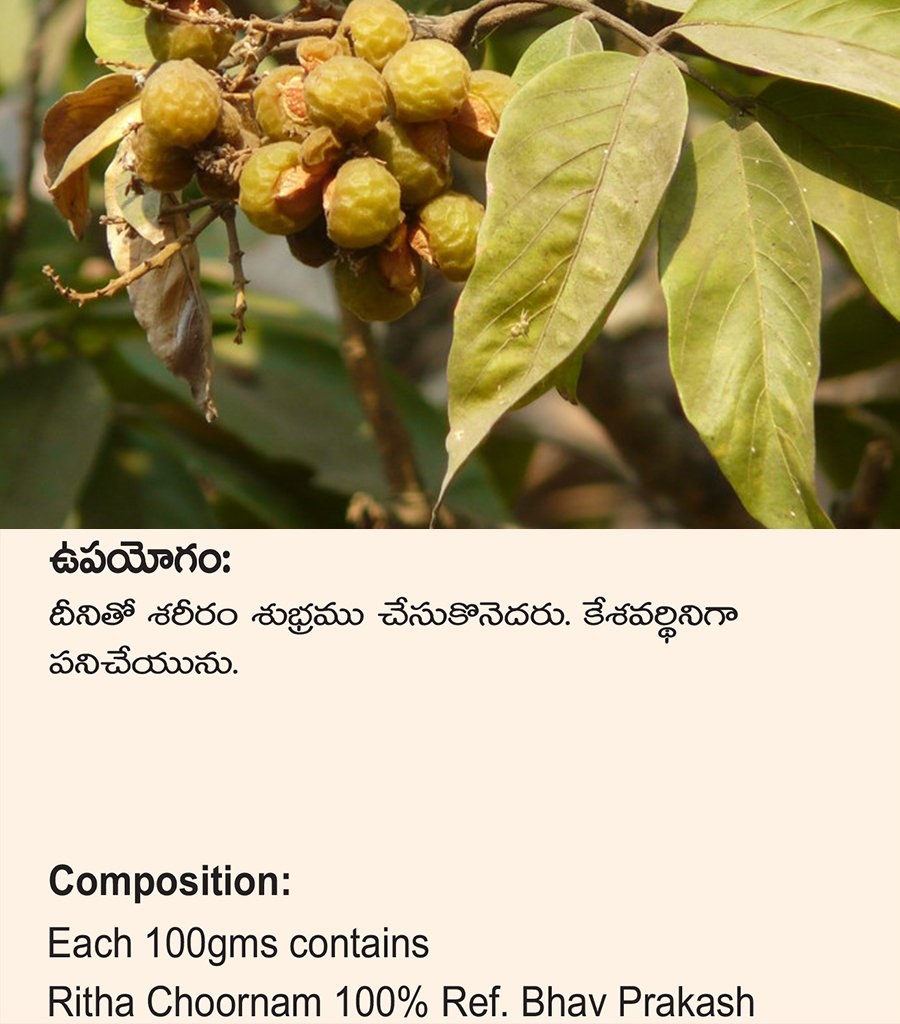 Ritha Churna {కుంకుడుకాయ చుర్ణము} - Image 3