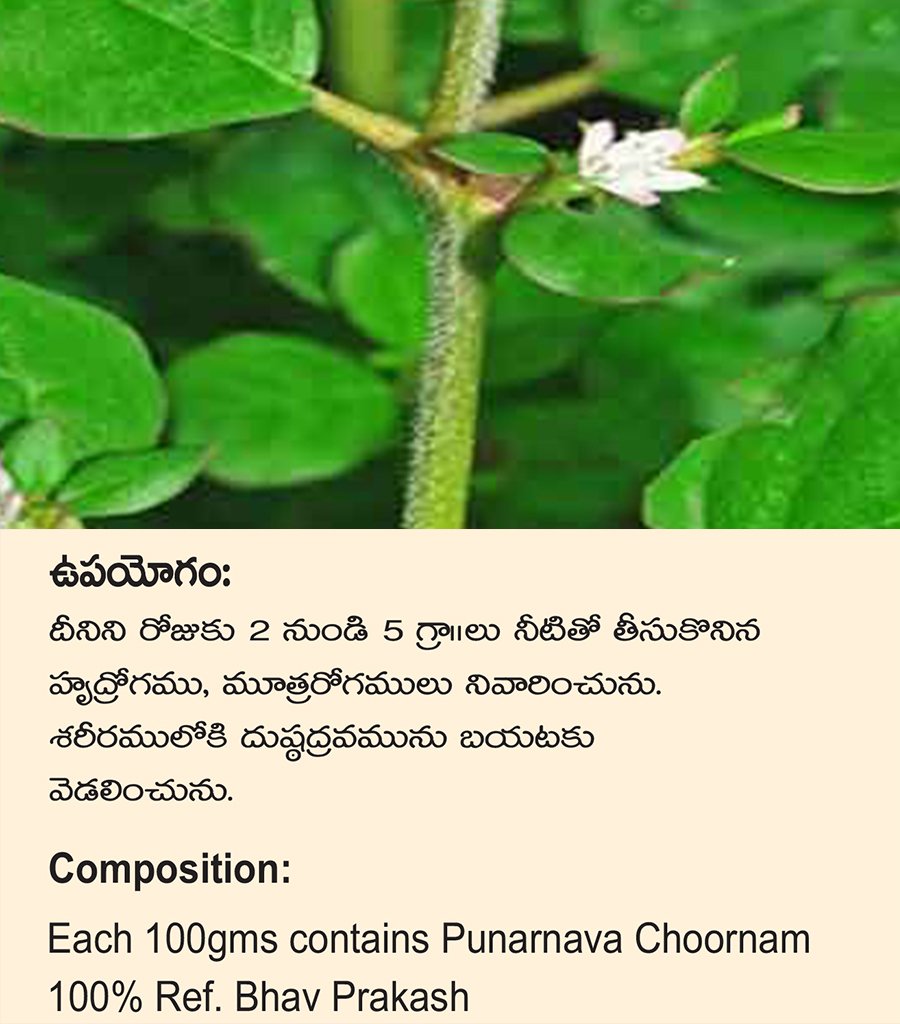 Tellagalijeru Churna {తెల్ల గలిజేరు చూర్ణము} - Image 3