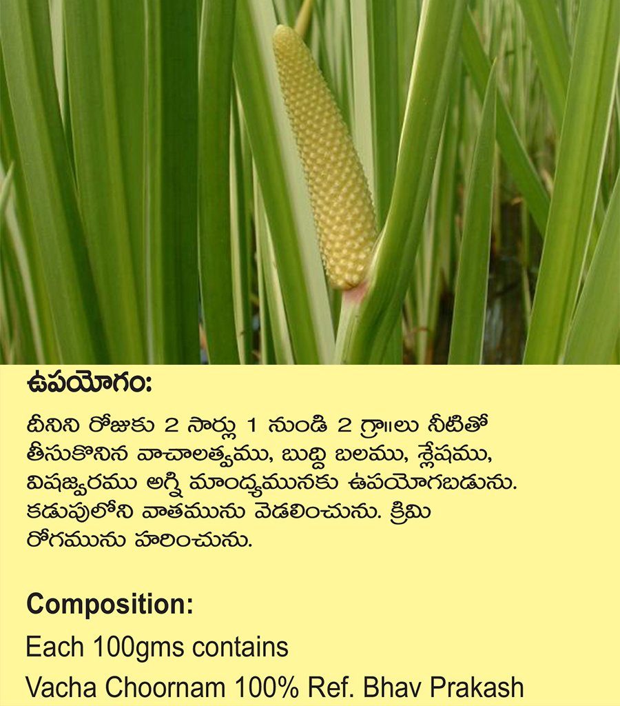 Vacha Churna {వచ చూర్ణము} - Image 3