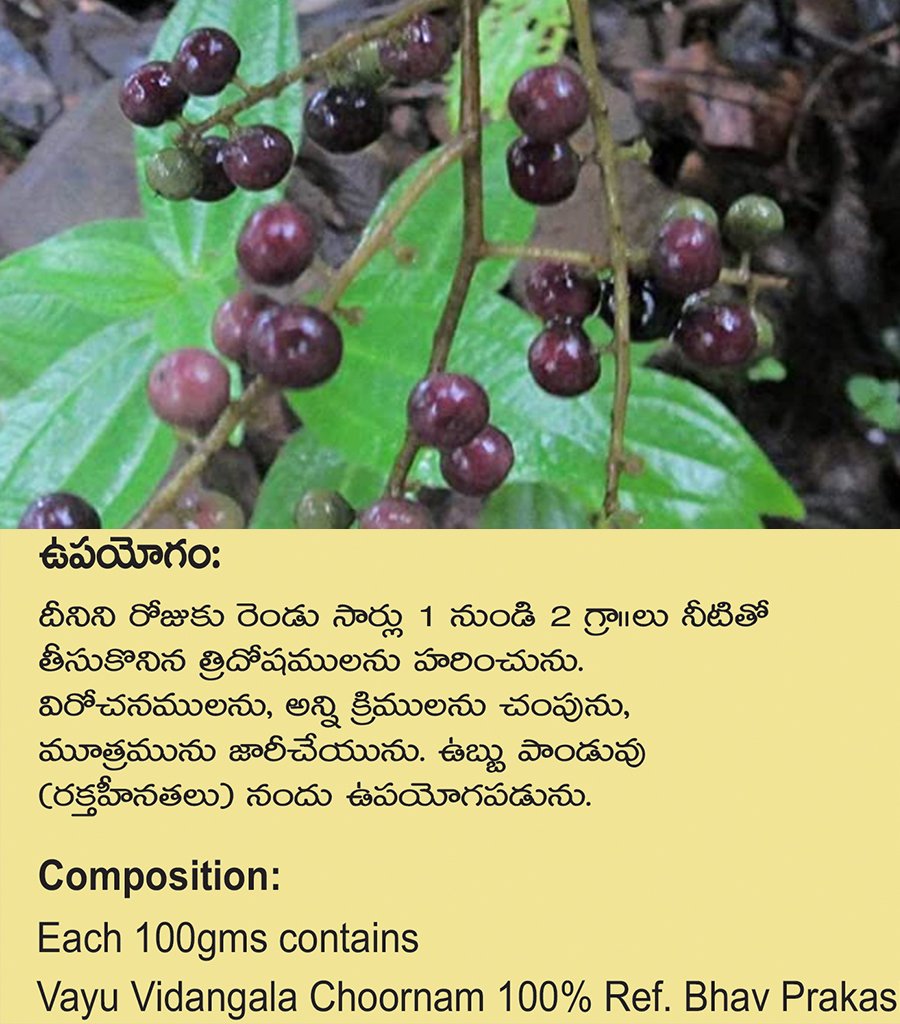 VayuVindangla Churna {వాయు విడంగాల చూర్ణము} - Image 3